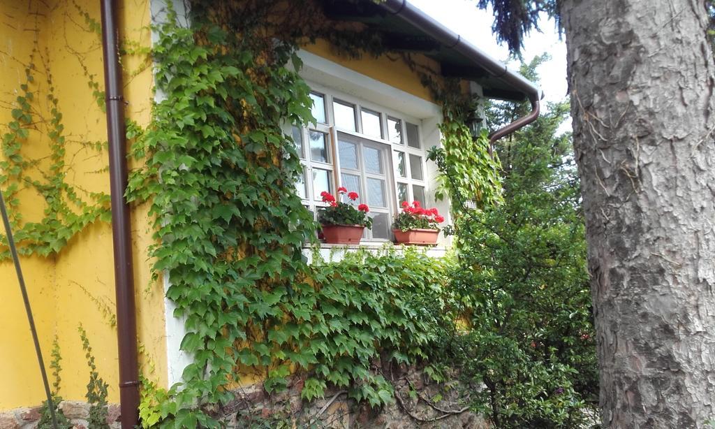 Villa-Magdi Vendégház Révfülöp Exterior foto